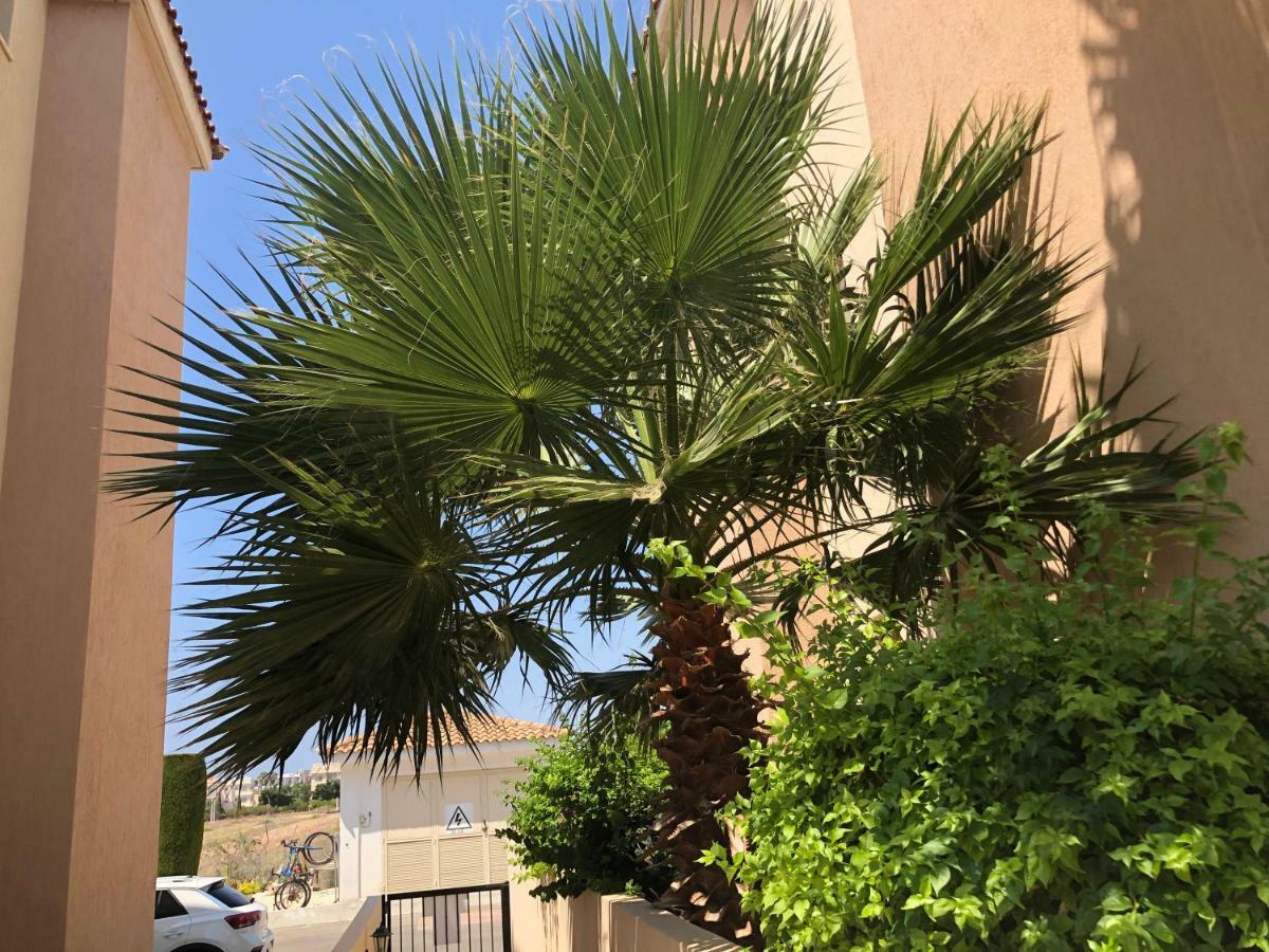 Royal Seacrest Apartment Paphos ภายนอก รูปภาพ